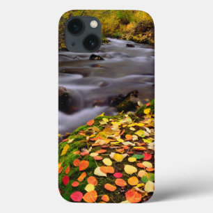 Etui iPhone Case-Mate Les couleurs d'automne le long de McGee Creek