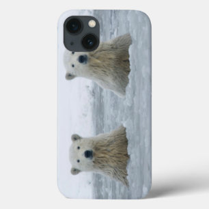 Etui iPhone 13 Les Etats-Unis, Alaska, pente du nord, 1002