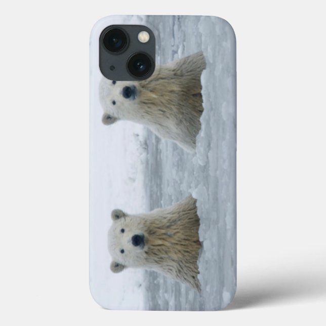 Coques Case-Mate iPhone Les Etats-Unis, Alaska, pente du nord, 1002 (Verso)