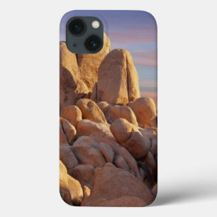Etui iPhone 13 Les Etats-Unis, la Californie, parc national