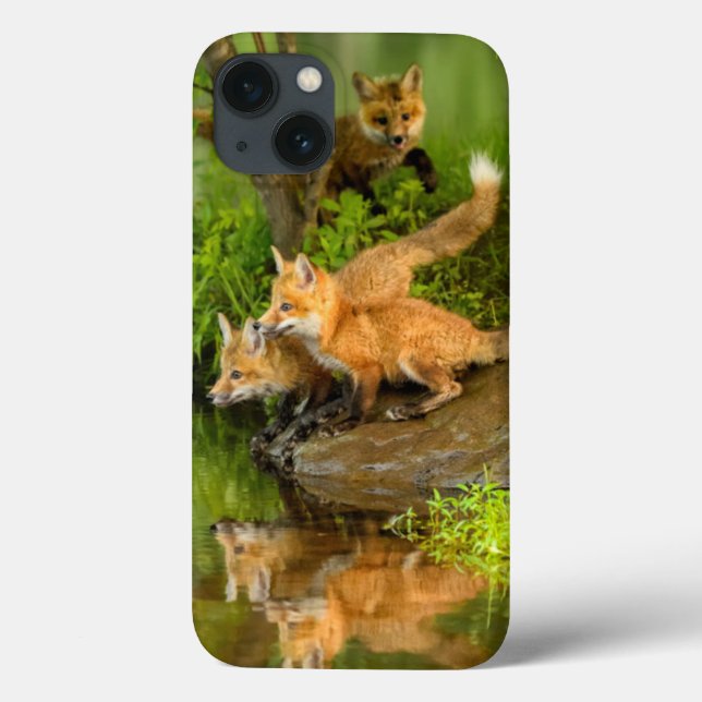 Coques Case-Mate iPhone Les Etats-Unis, Minnesota, grès, faune 7 du (Verso)