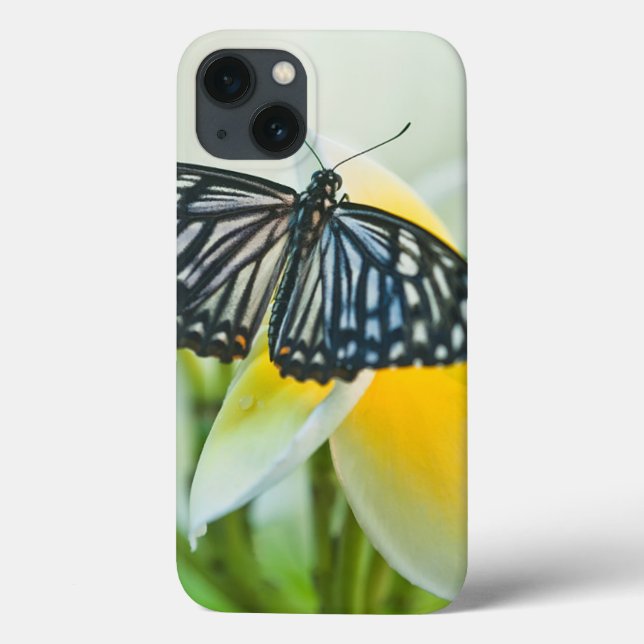 Coques Case-Mate iPhone Les Etats-Unis, Pennsylvanie. Papillon de machaon (Verso)