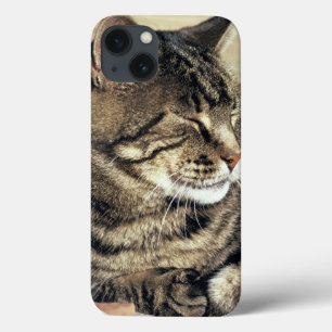 Etui iPhone Case-Mate Les Etats-Unis, Utah, récif NP de capitol. Chat