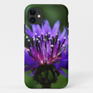 Case-Mate iPhone Case Les fleurs de Cornouailles bleues fleurissent la d