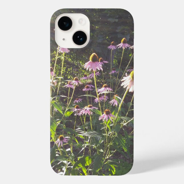 Coques Case-Mate iPhone Les fleurs d'échinacée au soleil (Verso)
