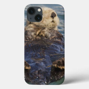 Etui iPhone Case-Mate Les loutres de mer jouent sur les icebergs à Surpr