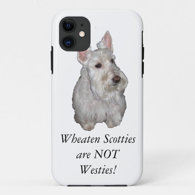 Coques Case-Mate iPhone Les Scotties blonds comme les blés ne sont pas (Dos)