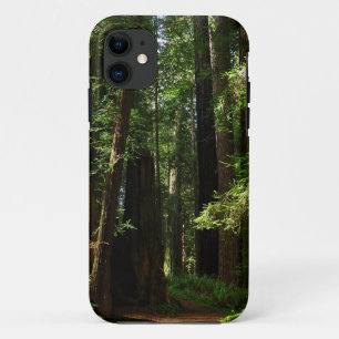 Case-Mate iPhone Case Les séquoias et les fougères du parc national Redw