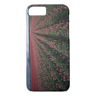 Etui iPhone Case-Mate Les tulipes roses et rouges brillent sous l'obscur