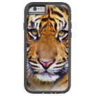 Les yeux qui voient_