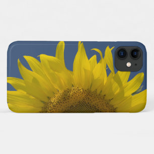 Coque iPhone 11 Levée de tournesol
