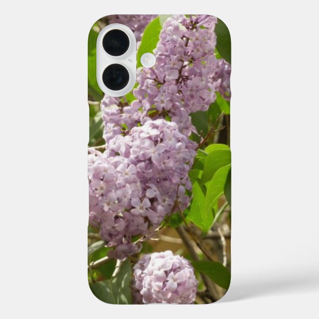 Coques Case-Mate iPhone Lilac Bush Belles fleurs de printemps violettes (Verso)