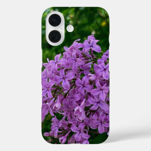 Coque Pour iPhone 16 Lilas violet romantique élégant violet photo flora