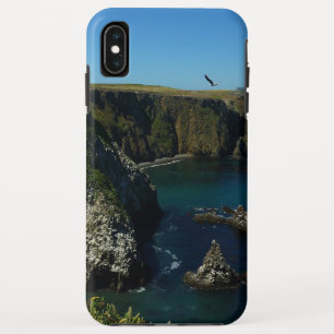 Case-Mate iPhone Case L'île d'Anacapa dans le Parc national des îles Cha