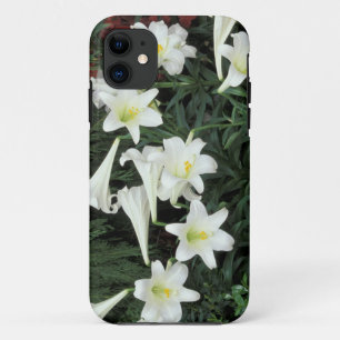 Case-Mate iPhone Case Lily de Pâques (Lilium regale)