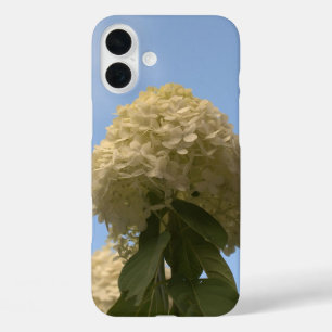 iPhone 16 Plus Case Lime Hydrangea Fleurs Ciel bleu
