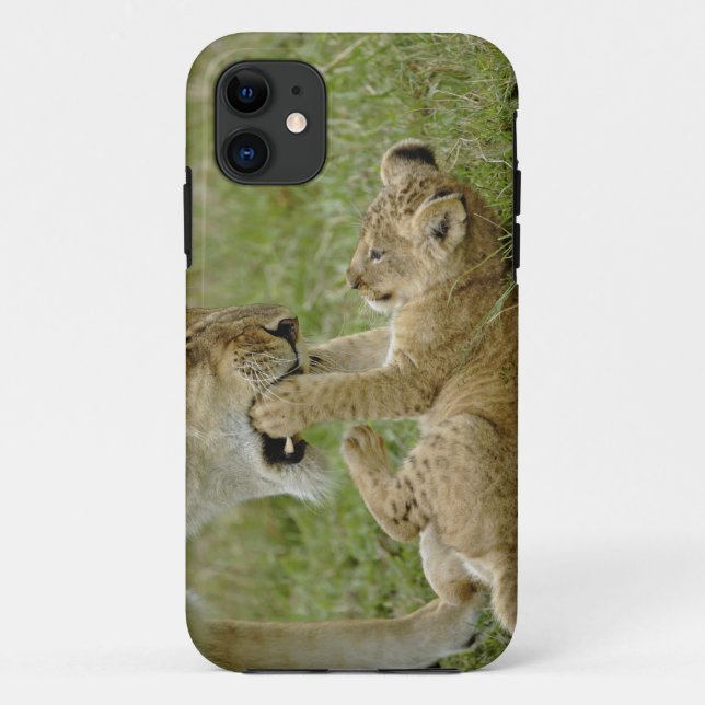 Coques Case-Mate iPhone Lion Cub Jouer (Dos)