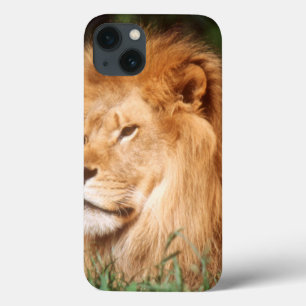 Case-Mate iPhone Case Lion de mâle adulte