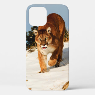 Case-Mate iPhone Case Lion de montagne sur une colline enneigée