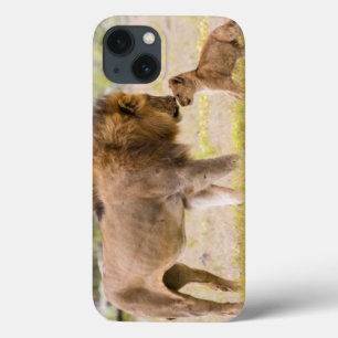 Etui iPhone 13 Lion mâle alpha inspecte un ourson