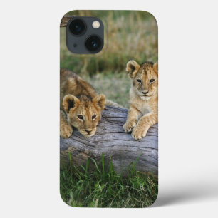 Case-Mate iPhone Case Lionceaux sur une bûche