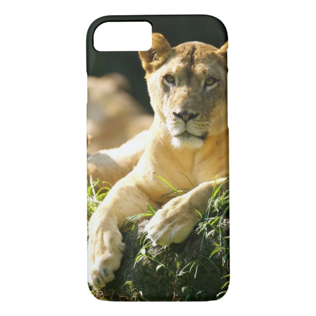 Coques Case-Mate iPhone Lions (Dos)