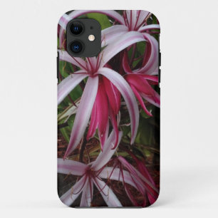 Coques Pour iPhone Lis Crinum pourpre de la reine Emma