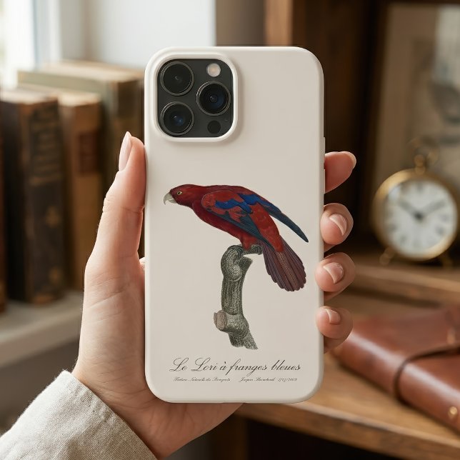 Coques Case-Mate iPhone Lori à queue brune, Trichoglossus borneus (Long-Tailed Red Lory, Trichoglossus borneus. iPhone Case)
