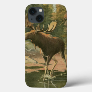 Etui iPhone Case-Mate L'orignal marche dans l'eau