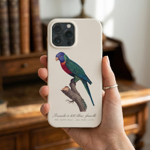 Case-Mate iPhone Case Loriquet arc-en-ciel femelle, Trichoglossus molucc