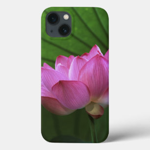 Etui iPhone 13 Lotus Ohga, jardin Sankei-en, Yokohama, Japon