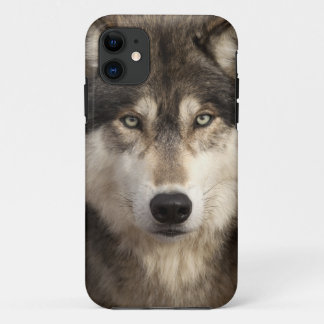 Coques Pour iPhone Loup de bois de construction par JIM Zuckerman