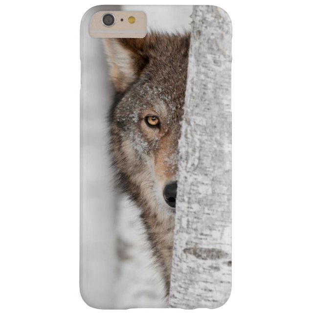 Coques Case-Mate iPhone Loup gris (lupus de Canis) derrière l'arbre (Dos)