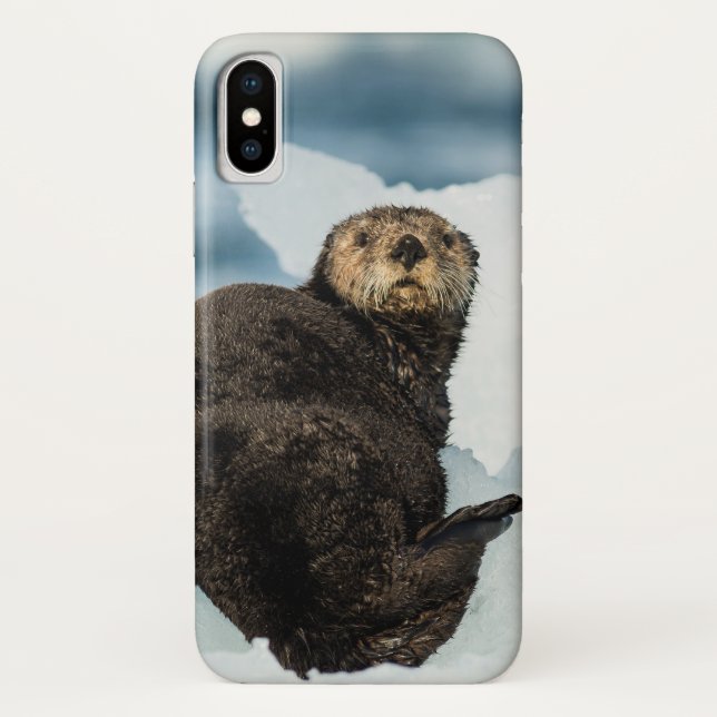 Coques Case-Mate iPhone Loutre de mer (Dos)