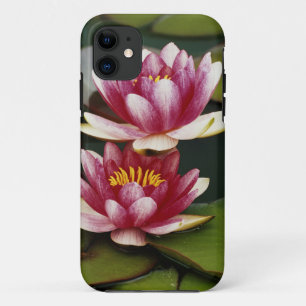Etui iPhone Case-Mate Lys d'eau hybrides