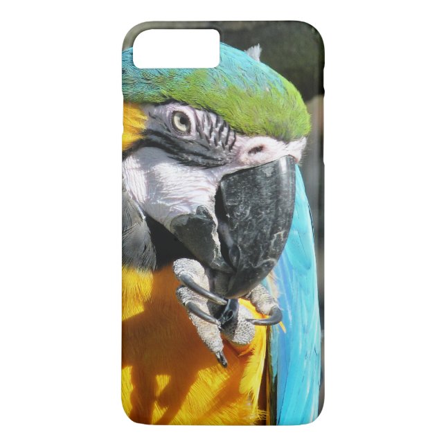 COQUES Case-Mate iPhone MACAWS (Dos)