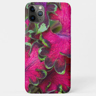 Case-Mate iPhone Case Macro Coleus