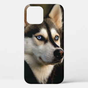 Case-Mate iPhone Case Magnifique Coussin de Lancement Husky
