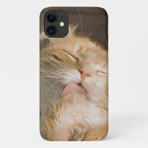 Etui iPhone Case-Mate Magnifique Preening Maine Coon Close Up Photograph