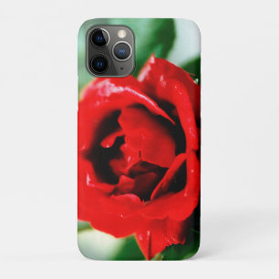 Case-Mate iPhone Case Magnifique rose rouge avec gouttes de rosée matina