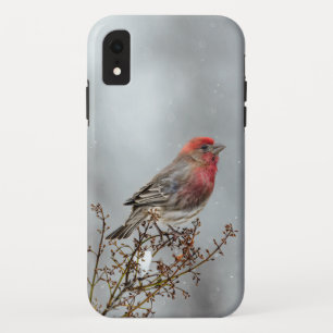 Case-Mate iPhone Case Maison Finch en Neige - Photo originale