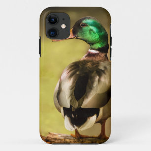 Etui iPhone Case-Mate Mallard Duck