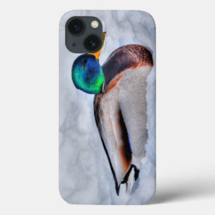 Etui iPhone Case-Mate Mallard Duck Drake Wildlife Portrait