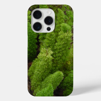 Coque iPhone 15 Pro Marches de fougères vertes