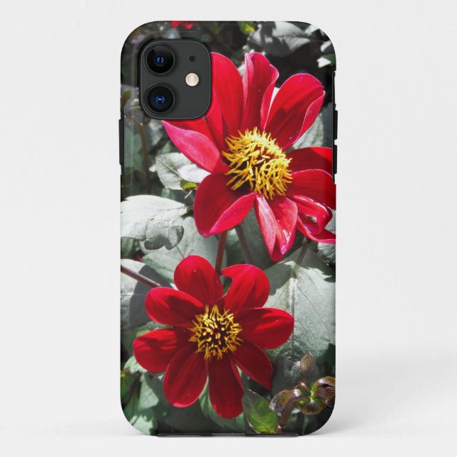 Coques Case-Mate iPhone marguerite rose chaud rouge / marguerites fleurs (Dos)