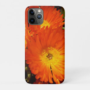 Case-Mate iPhone Case Marguerites géantes,