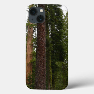 Etui iPhone 13 Mariposa Grove dans le parc national de Yosemite