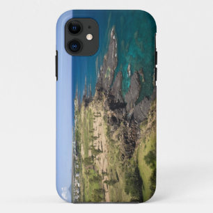 Coque iPhone 11 Maurice, Maurice occidental, Belle Vue, Océan