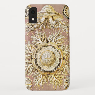 Case-Mate iPhone Case Méduse, Discomedusae par Ernst Haeckel