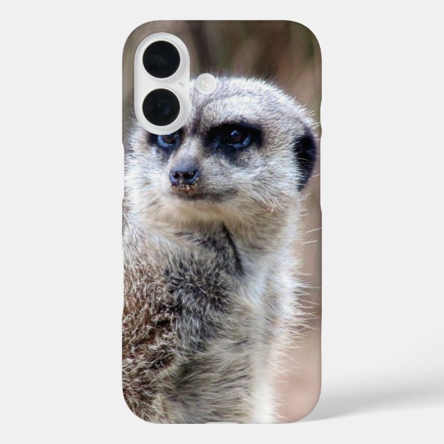 Coques Case-Mate iPhone meerkat (Verso)